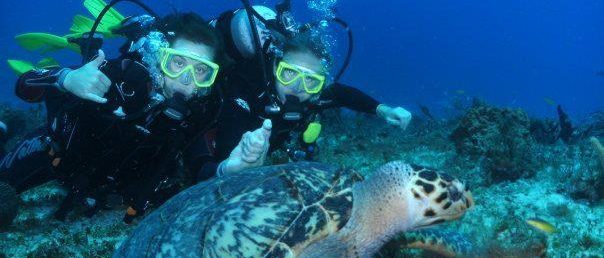 Photo Gallery - Papa Hogs Scuba Emporium - Cozumel Mexico