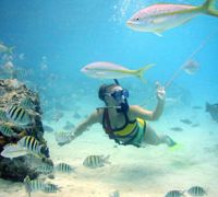 Snorkeling - Papa Hogs Scuba Emporium - Cozumel Mexico